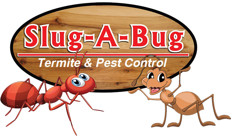 Slug-A-Bug