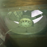 Screen Attic Fan To Keep Critters OUt
