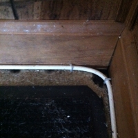 Mice Coming Out From Under Baseboard