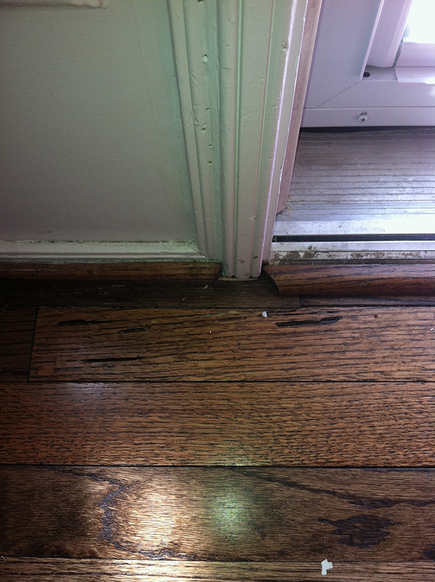 Termite Damage To Hardwood Flooring Archives Slug A Bug Inc