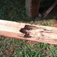 Termite Damage to 6x6 deck post