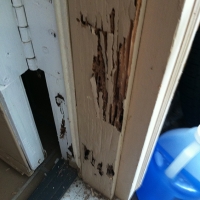 Termite Damage to Door Frame