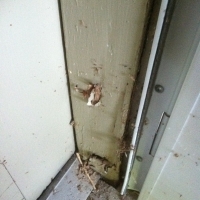 Termite Damage to Door Frame