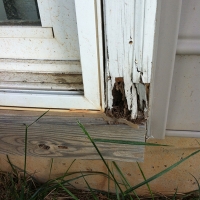 Termite Damage to Door Molding