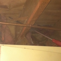 Termite Damage to Floor Joist