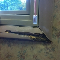 Termite Damage to Frame Molding