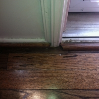 Termite Damage to Hardwood Flooring