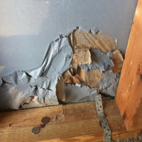 Termite Damage to Insulation Board