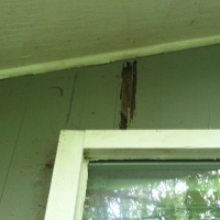 Termite Damage to Siding