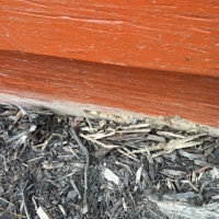 Termite Damage to Siding