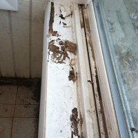 Termite Damage to Window Sill