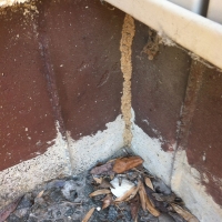 Termite Shelter Tube
