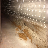 Termite Shelter Tubes in Basement