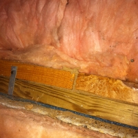Termite Shelter Tubes on Sillplate