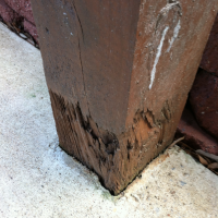 Termite damage to 6x6 deck post