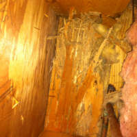 Termite damage to bandboard
