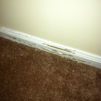 Termite damage to baseboard