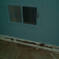 Termite damage to baseboard