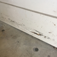 Termite-damage-to-baseboard-in-garage