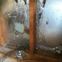 Termite damage to insulation