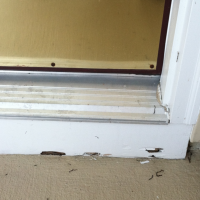 Termite damage to kick board