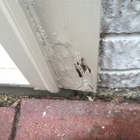 Termite-damage-to-rear-door-trim-board