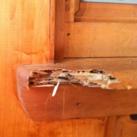 Termite damage to window sill