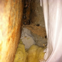 Termite shelter tube