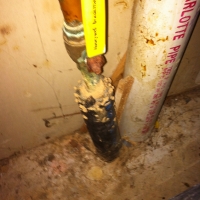 Termites Coming Around the Main Water Line