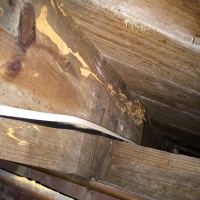 Wood-borer-damage-to-floor-joist