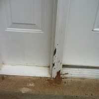 Termite Damage