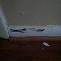 termite damage to baseboard