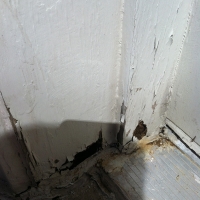 Termite Damage to Door Frame