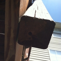 Carpenter-Bee Hole in Deck Rail Post