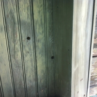 Carpenter Bee Holes